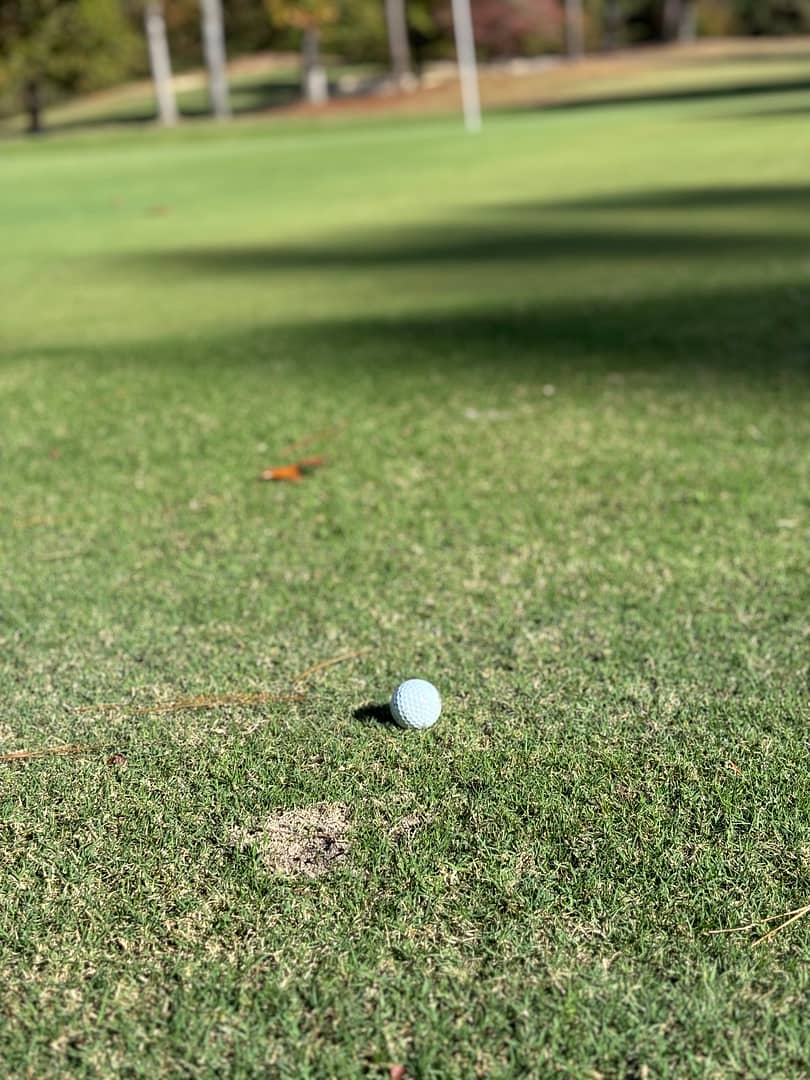 Golf Ball laying close to the green ready to give us wisdom